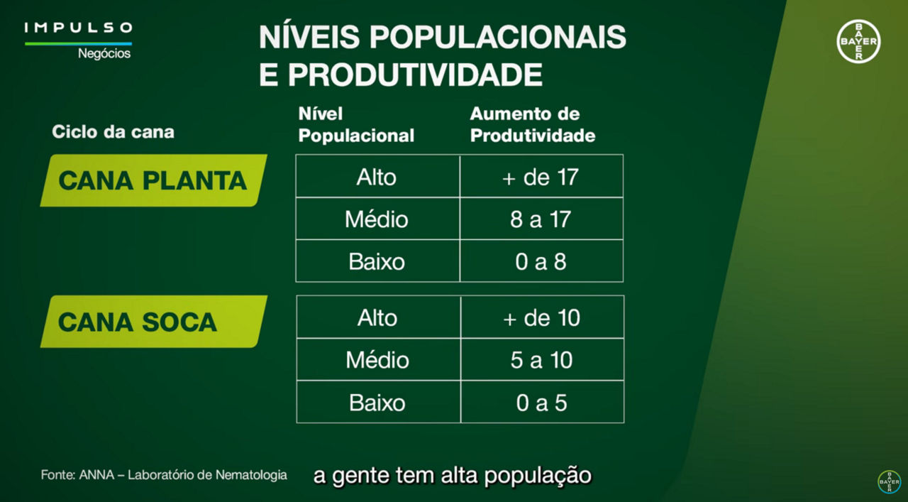 Imagem mostrando os níveis populacionais e de proutividade do ciclo da cana planta e da cana soca